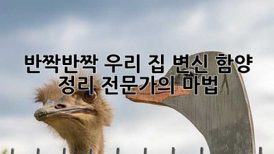 ✨반짝반짝✨ 우리 집 변신! 함양 정리 전문가의 마법🧹