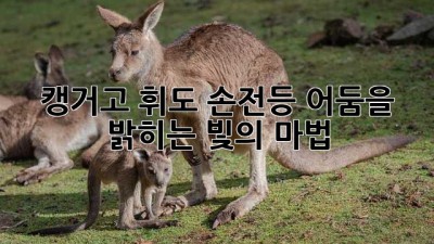 캥거고 휘도 손전등: 어둠을 밝히는 빛의 마법